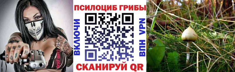 Галлюциногенные грибы Cubensis сколько стоит Видное