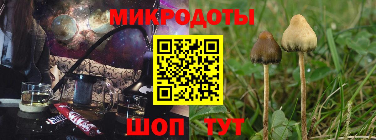 наркота  Вход с VPN  Видное  Псилоцибиновые грибы Psilocybe 